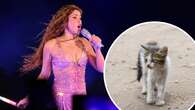 Relacionan a Shakira con la muerte de 100 gatos tras un concierto en Colombia