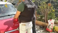 Un hombre detenido por matar a cuatro perros como venganza por una denuncia por violencia machista en Gran Canaria