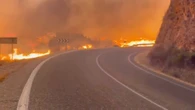 Última hora del incendio de Los Gallardos, en directo: Varias de las 12 víctimas mortales quedaron atrapadas en los coches al intentar huir
