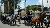 Continúa ingresado el bebé de 11 meses atropellado por un caballo desbocado en el Puente de las Delicias de Sevilla