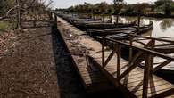 La Albufera de Valencia, tres meses después de la DANA: un humedal gravemente dañado