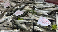 Galicia lanza el Bono Peixe: un impulso a la compra de pescado y un toque de atención al consumidor