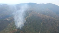 Declarado un incendio en una zona agrícola de Pozoblanco por el impacto de un rayo