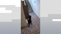 Detenida en Barcelona una mujer por robar al personal de limpieza de edificios y entrar en 17 trasteros con llave falsa