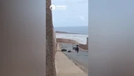 Duras imágenes: muere un caballo en una carrera popular en Gran Canaria