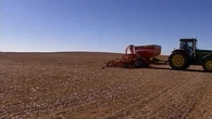 El campo sufre una de las siembras más caras de la historia