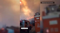 Complicado incendio forestal en Grecia: el fuerte viento y las altas temperaturas dificultan las labores de extinción