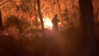 Estabilizado el incendio forestal en Murcia tras quemar más de 100 hectáreas