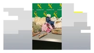 Más de 30 kilos de alimentos ilegales y cientos de medicamentos incautados en el aeropuerto de Pamplona