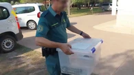 Una vecina encuentra una serpiente en el toldo de su casa en Cullera y destapan la posesión ilegal de reptiles