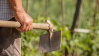 Un agricultor desentierra 600 millones de dólares que podría haber escondido Pablo Escobar