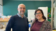 Investigadores españoles participan en la décima curación del VIH en el mundo tras un trasplante de células madre