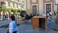 Pacma pide que los coches de caballos no circulen en Sevilla durante olas de calor