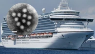 Un brote de norovirus obliga a activar un protocolo sanitario en un crucero con más de 120 afectados