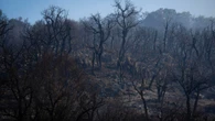 Illa anuncia el cierre de las Gavarres y alerta de que el fuego puede quemar hasta 30.000 hectáreas
