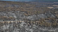 Hace una semana los focos más graves estaban en Zamora y Ourense: ahora todas las miradas están puestas en León