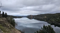 Se desvela el secreto del misterioso animal que nadaba en las aguas del Tajo
