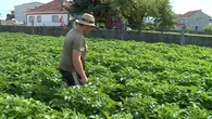 Abel Sotelo, agricultor de 22 años: “Empezar de cero hoy en el campo es muy difícil”
