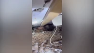 VIDEO: Agónicas imágenes de un niño atrapado bajo los escombros tras un nuevo ataque israelí en Gaza