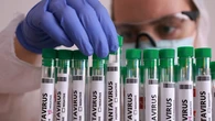 Seguimiento internacional del hantavirus: el mapa de los casos que desembarcaron en la isla de Santa Elena