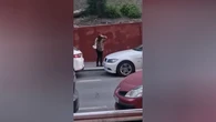 Los pájaros de Hitchcock, en las calles de Linares porque sus vecinos denuncian que les atacan