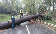South Africa Declares National Disaster Over Severe Weather