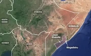 Somalia, Turkey Joint Air Strikes Kill Dozens of Militants - Govt