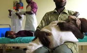 The New Male Contraceptive Shaking Up Conversations In Africa