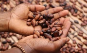 Climate Threat to Africa's Food Exports May Empty EU Shelves