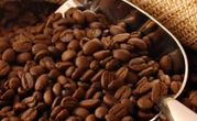 Uganda Overtakes Ethiopia As Africa's Top Coffee Exporter
