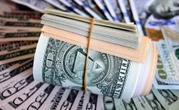 Ethiopian Central Bank Seeks U.S. Probe Into Money Transfer Firms
