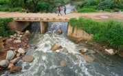 Zimbabweans Rally to Save Lake Chivero from Pollution