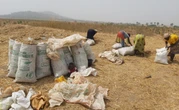 Calls for Prayer Over Nigeria's Food Insecurity Sparks Anger
