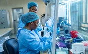 Clinical Trial for Bundibugyo Ebola Strain Begins in DR Congo