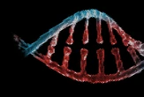 FutureHouse releases AI tools it claims can accelerate science