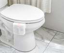 Throne’s toilet camera takes pictures of your poop