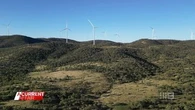 'They just flattened everything': Claims over tree clearing for wind farm