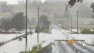 Fallen trees, flooded roads: More heavy rain to lash northern NSW