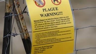 Person dies from the plague in America