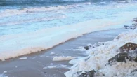 'Never seen anything like it': Local wake up to foamy beach phenomenon