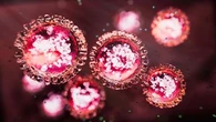 FIFO workers urged to get vaccinated as measle cases rise