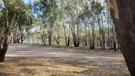 Man killed, teenager injured after tree branch falls near campsite on Victorian border