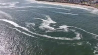 South Australian algal bloom under scrutiny amid economic concerns