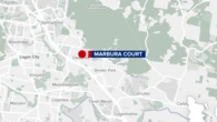 Woman, 40, charged with murder after teenager fails to wake from induced coma