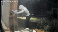 Manhunt for hooded arsonists after Sydney home firebombed