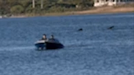 Massive six-metre shark spotted tailing US boat