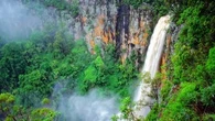 Environmental groups fight Gold Coast Hinterland cableway proposal
