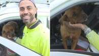 Sydney man saves dog after stopping to check no one was in burning home