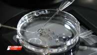 How Aussie clinic offers IVF treatment for quarter of normal price