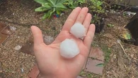 Which schools are closed in Brisbane today?